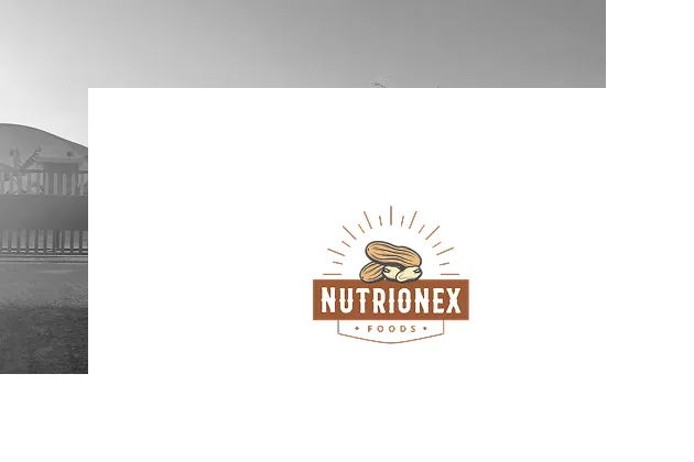 Nutrionex Foods LLP 2021 - diversification into the food processing sector